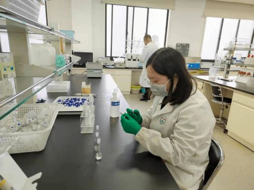 泾三淳区域分中心以技术为支撑 数字文化创意软件助力疫情春节食品安全保障